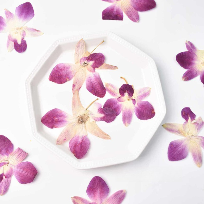 Resin Art Of Flowers - 4pcs,Real Pressed Butterfly Orchid Flowers DIY