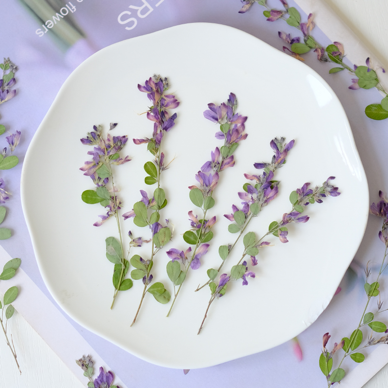 6pcs,nature Lespedeza Formosa  - đánh giá và giá Resin Art Of Flowers