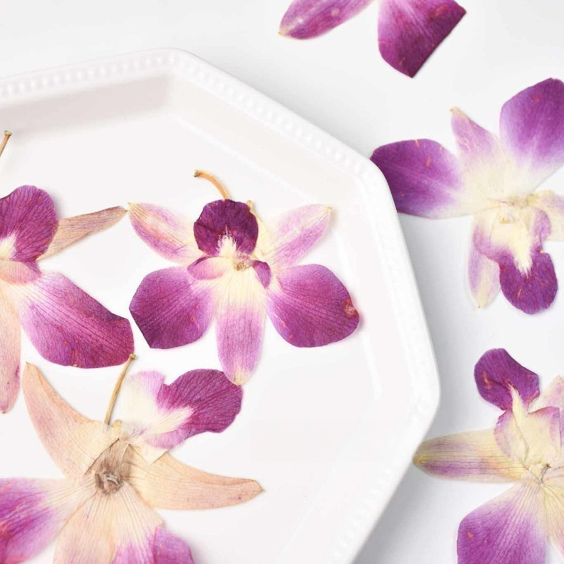 4pcs,Real Pressed Butterfly Or - đánh giá và giá Resin Art Of Flowers