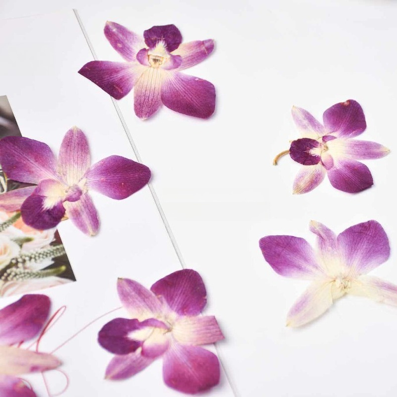 4pcs,Real Pressed Butterfly Or - đánh giá và giá Resin Art Of Flowers